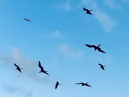 Intelligence Of Alignment