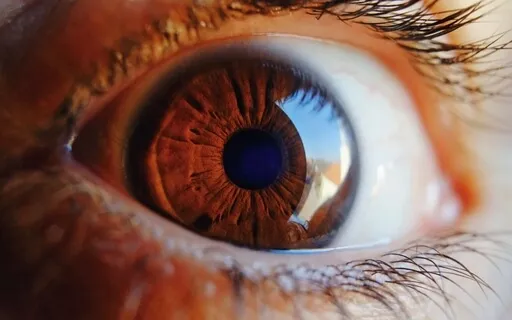 Intense Focus Noise | Brown Noise Collection | Patrick Lynen