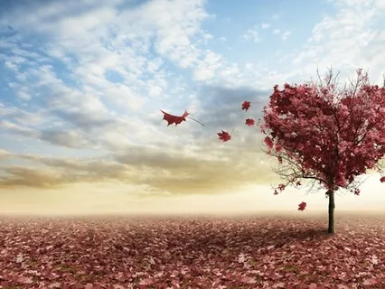 Intense Healing Loving Kindness Frequency