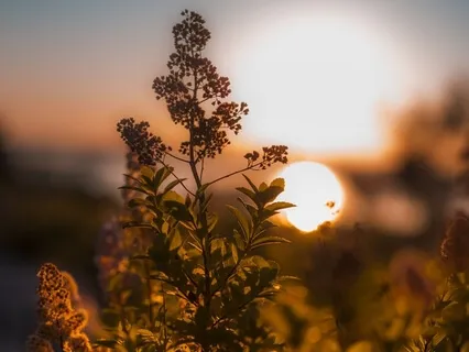 Intensity Of Gratitude 