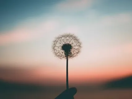 Intention For Centering And Happiness Meditation