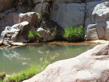 Intention Meditation: Acceptance