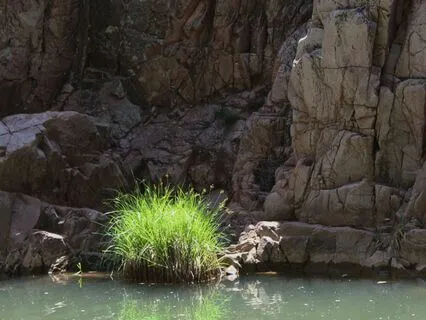 Intention Meditation: Be Gentle With Your Heart