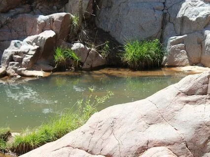 Intention Meditation: Letting Go