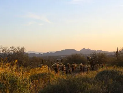 Intention Meditation: Manifest