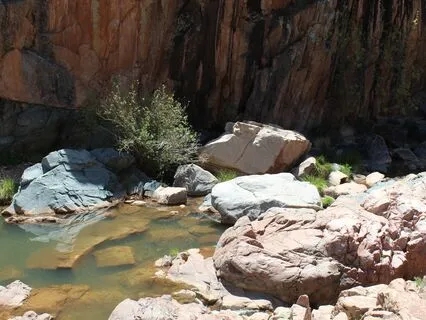 Intention Meditation: Nourishing Relationship To Self