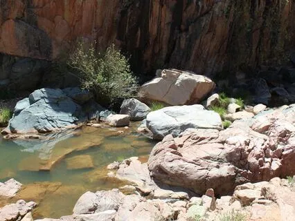 Intention Meditation: Receive