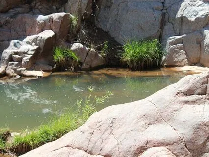 Intention Meditation: Releasing Fear