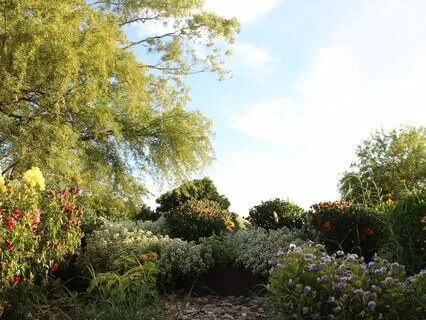 Intention Meditation: To Be Loving