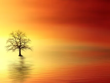 Setting Intentions: Sankalpa