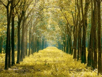 Intention Setting: Allow Your Why To Inform Your How