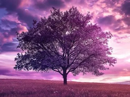 Intention Setting For Creative Work