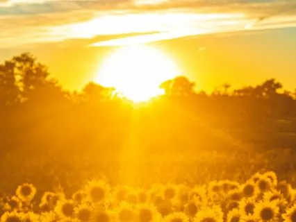 Intention Setting: Have A Great Day