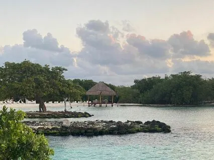 Intention Setting Meditation