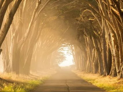 Intention Setting Reset