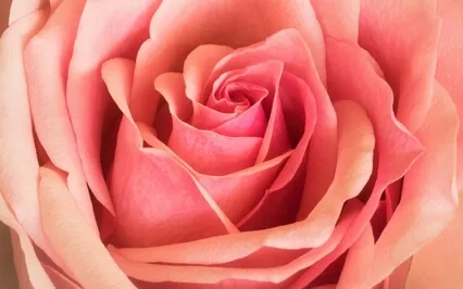 Intention To Creation Meditation 