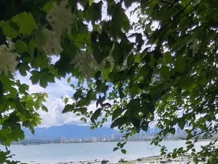 Intention to Reality