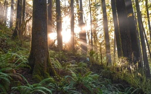 Intentional Breathing For Being Present And Calm