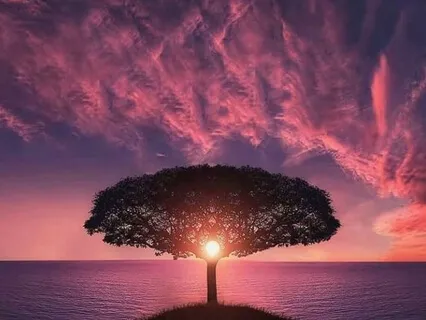 Intentional Breathing To Increase Resilience & Ease Stress