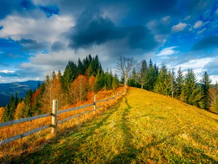 Intentional Breathing