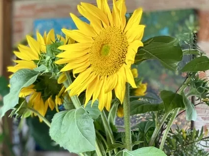 Intentional Breathwork Meditation (4-7-8 Breath)