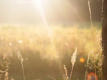 Intentional Light Being