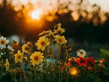 Intentional Morning Kindness