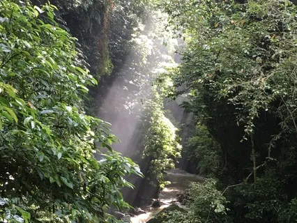 Intentional Wealth Creation Meditation