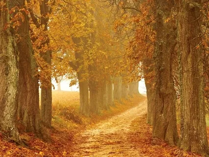 Intentions For Difficult Moments - Those You See Coming