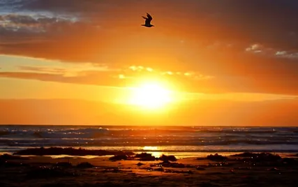 Intentions For Gratitude