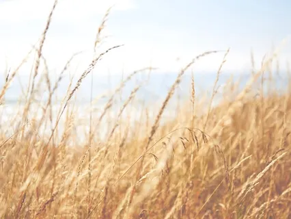 Intentions Get Things Done