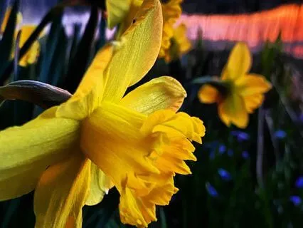 Interacting With Intention