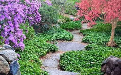 Interactive Inner Journey - Self-Discovery Guided Meditation