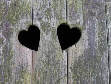 Interconnectedness - A Mindful Jewish Moment
