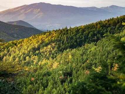 Interconnectedness Meditation Infused W Reiki+Sound Healing