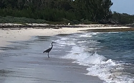 Interconnectedness Of Life