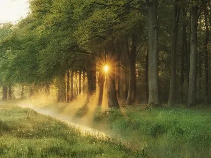 Interiore Parte Animae