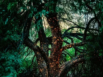 Intermediate Yoga Nidra - Meeting Your Inner Sage | No Music