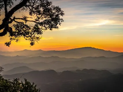 Internal Elements Meditation