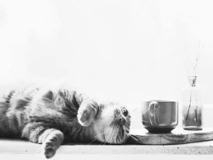 Internal Mastery | Comfort Is Quietly Eroding You