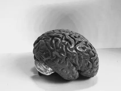 Internal Mastery | Train Your Body, Stabilise Your Mind