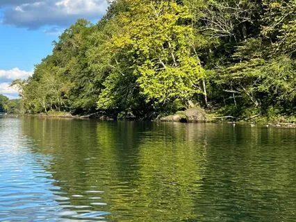 Internal Parent Vs Intuitional Compass