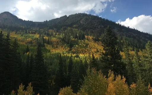 Internal Wisdom Meditation