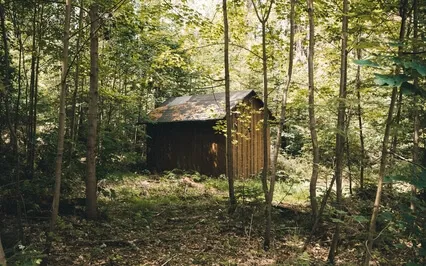 Internalizing A Sense Of Safety