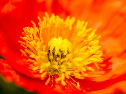 Interrupt Anxiety With Gratitude