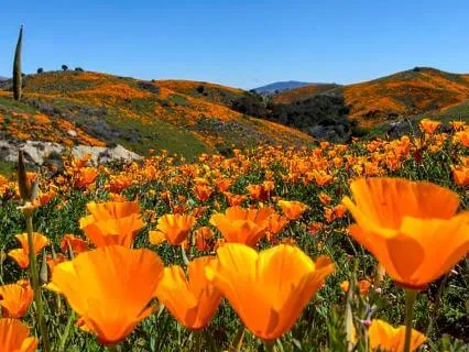 Interrupt Unworthiness – In 2 ½ Minutes