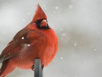 Interview: Chris ~ Magic Happens When You Least Expect It!