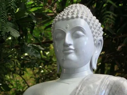 Interview: Dr. Kate ~ Experiencing Samadhi And Timelessness!