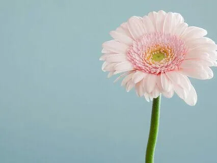 Interview: Inna Segal ~ Going Backwards Into Healing!