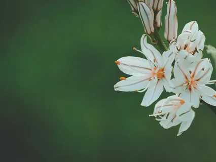 Interview: Philip Blackett~ Family Love Can Cure All Things!